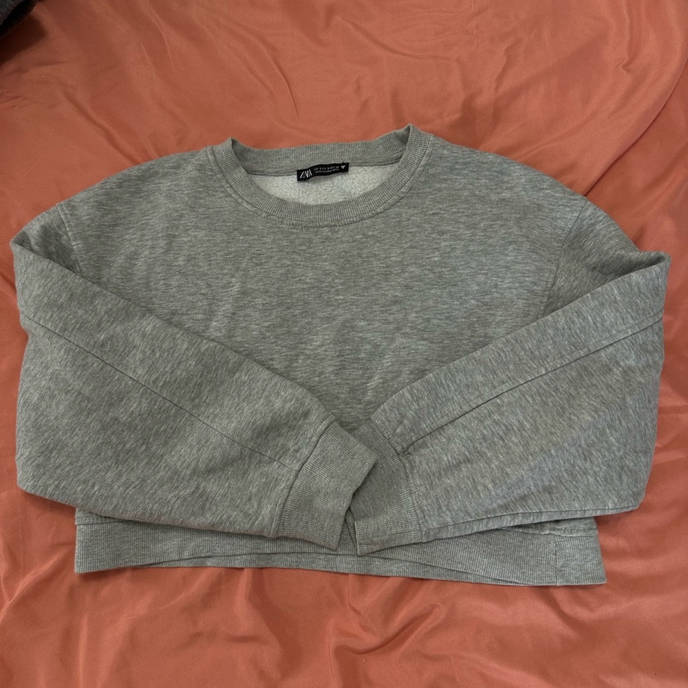 Zara Cropped Crew Neck